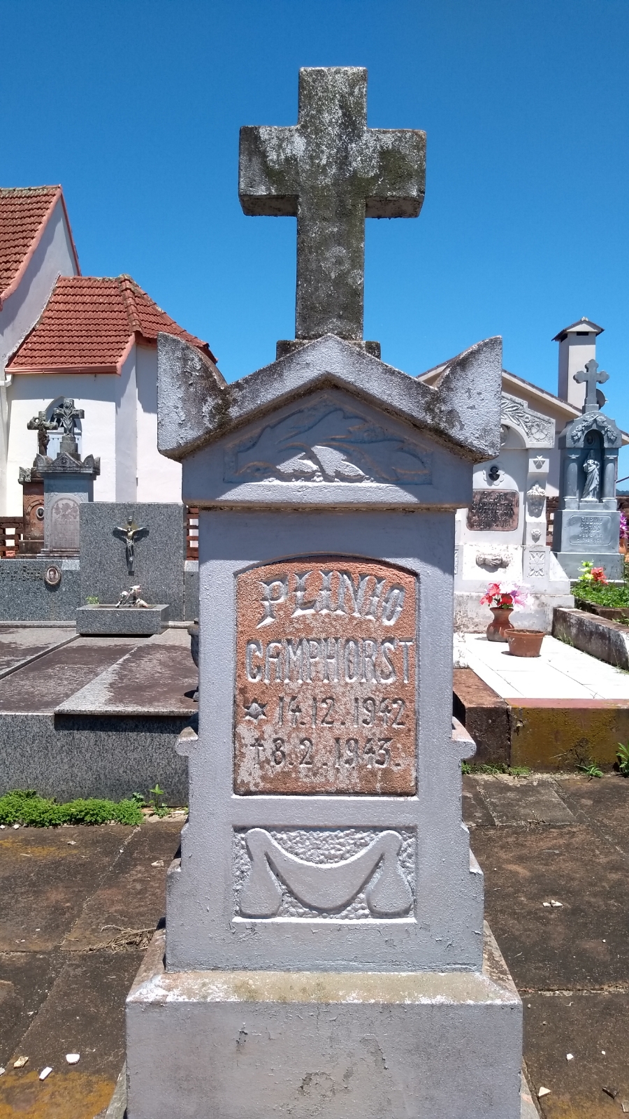 Plínio KAMPHORST Plínio KAMPHORST